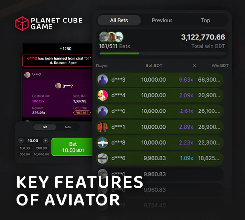 Aviator game interface details